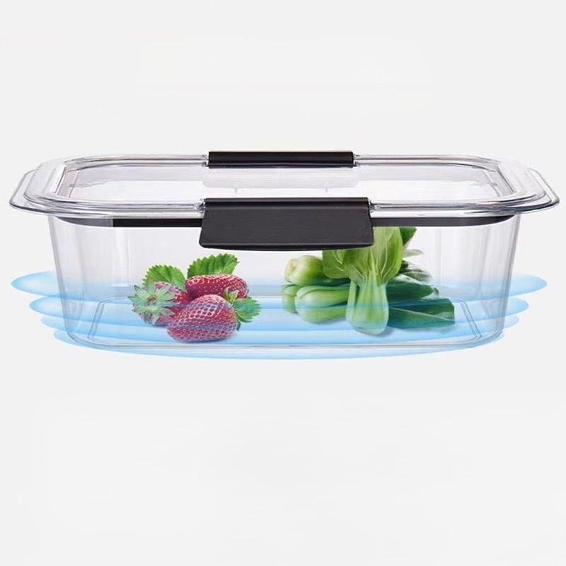 Sealed Transparent Food Container