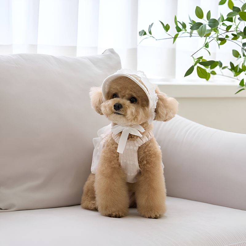 犬や猫に適した麦わら編みの豚鼻帽子