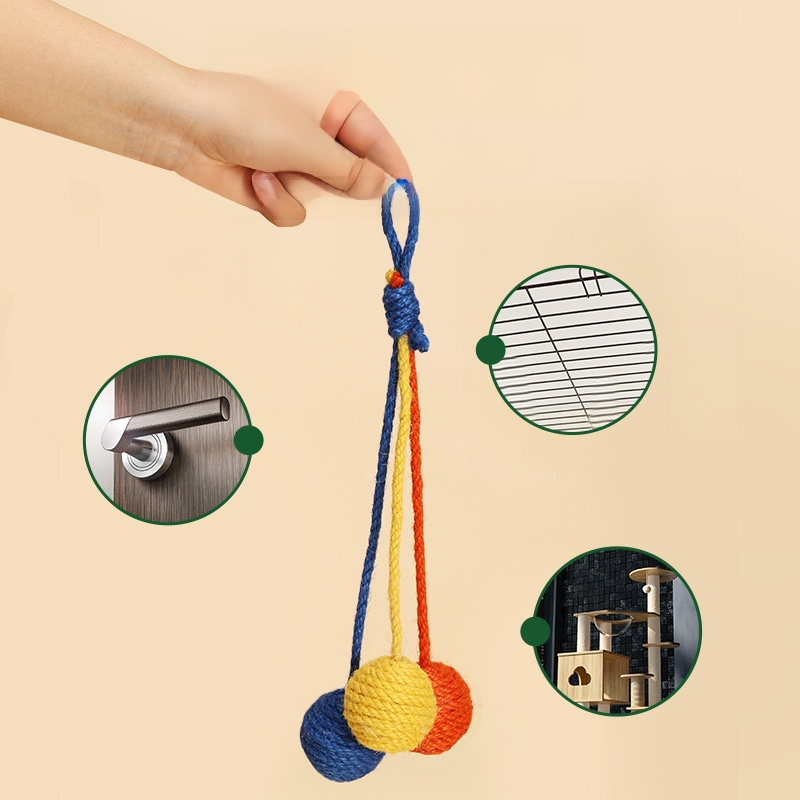 Chat suspendu en sisal