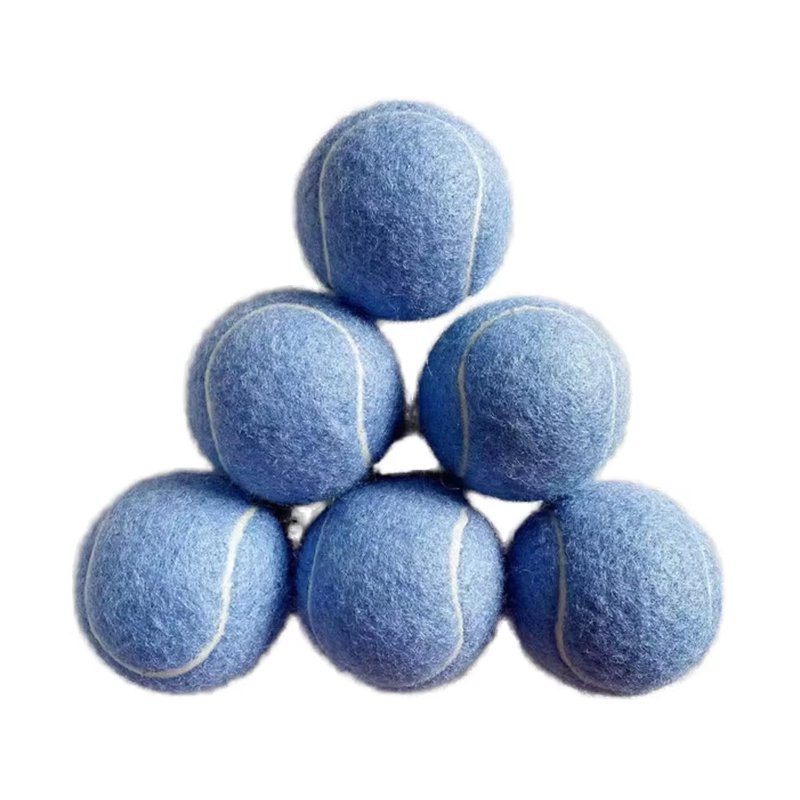 ของเล่นกีฬาฝึกสุนัข