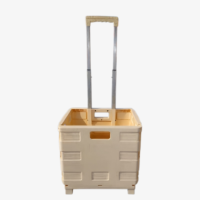 Chariot de courses pliable en plastique