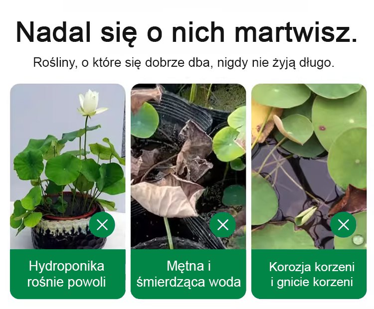 1_03.jpg