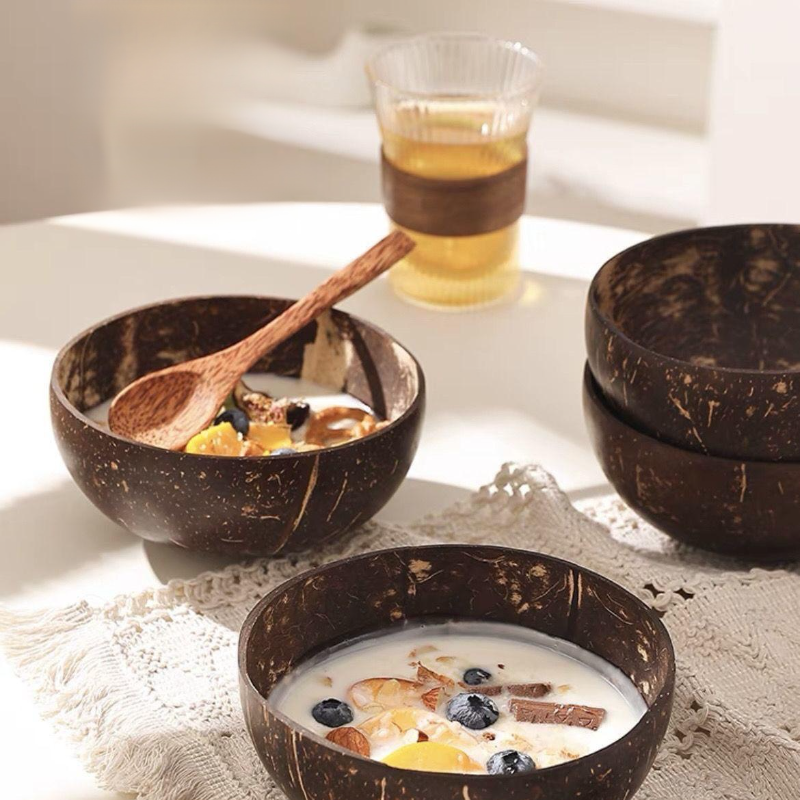 Czysta Natural Coconut Shell Bowl