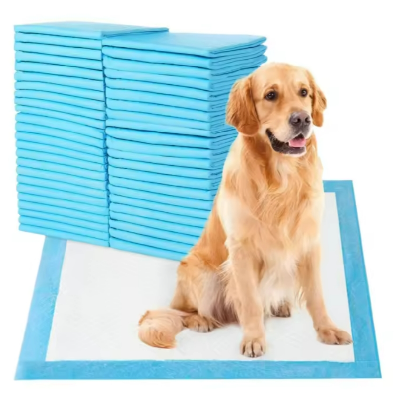 一次性防水狗狗便便訓練墊