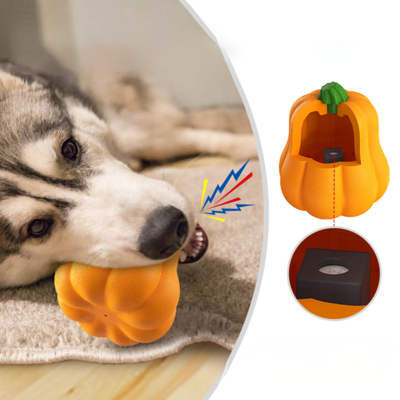 강아지 호박 장난감