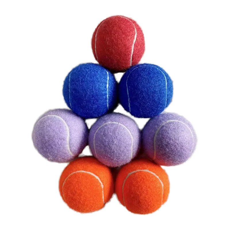 ของเล่นกีฬาฝึกสุนัข