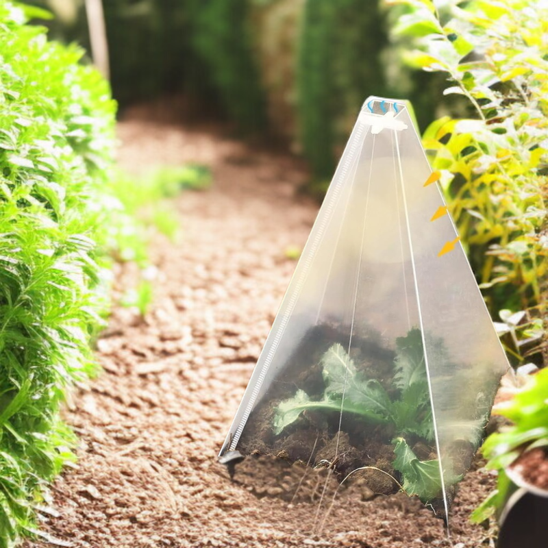 鳥や霜害から植物を保護するための植物コーングリーンベルカバーガーデン苗カバー