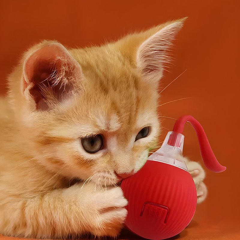 Anti-Bit Auto หยอกล้อกับแมวของเล่นลูกแมว