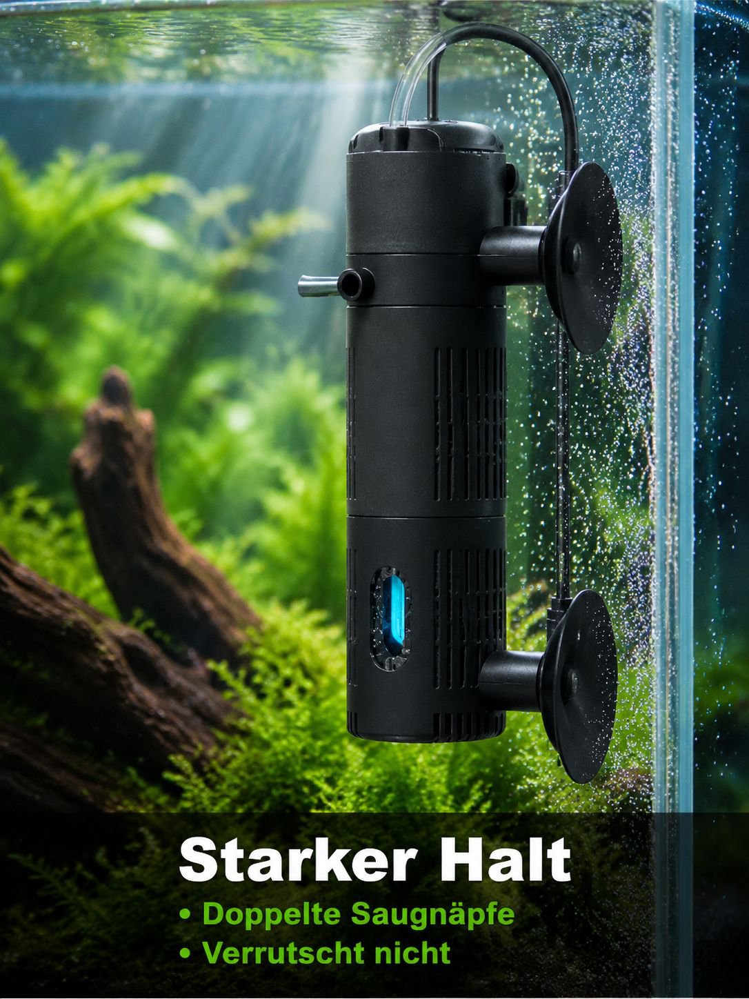 Gesundes Aquarienleben mit UV-Sterilisationsfilter und Filtervlies