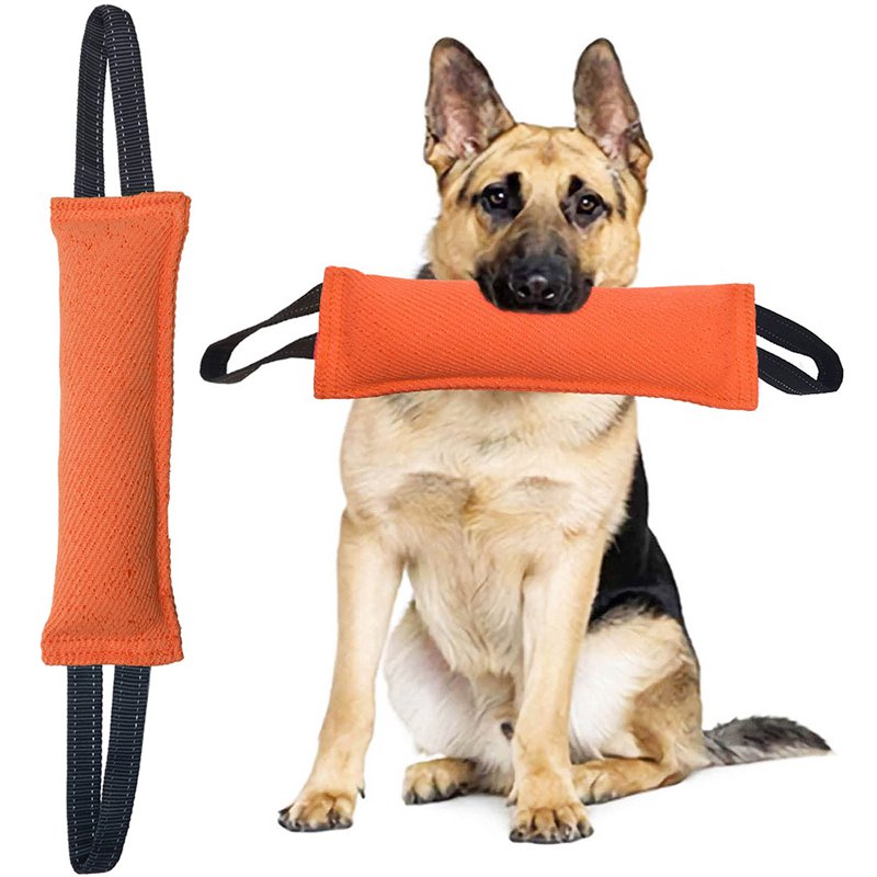 지속 훈련 애완동물 인터랙티브 장난감