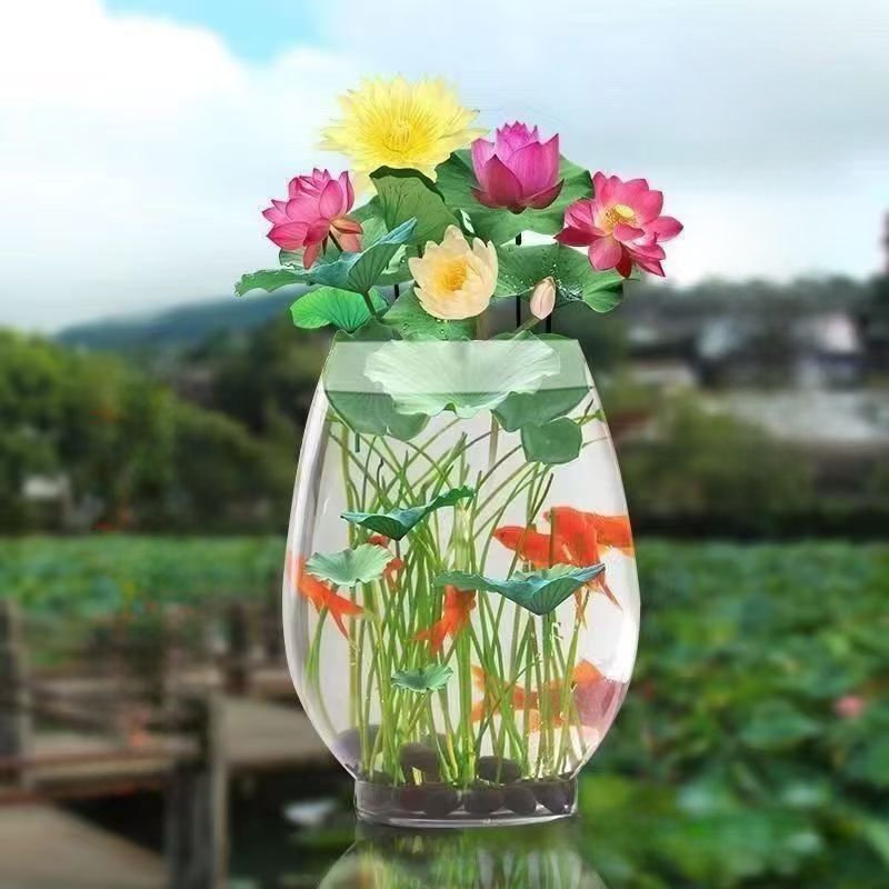 물에서 자란 사계절 연꽃