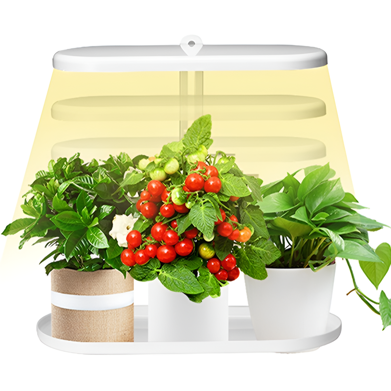 Adjustable Brightness Succulent Grow Light with Timer