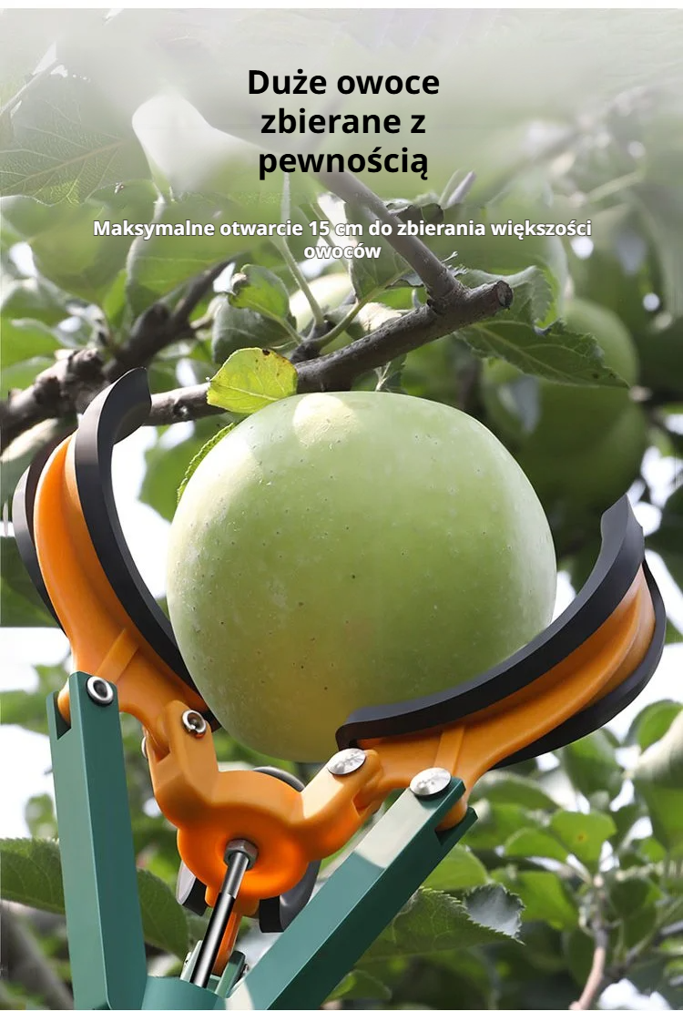 Zrywaka owoców z ergonomicznym uchwytem i trzema chwytakami