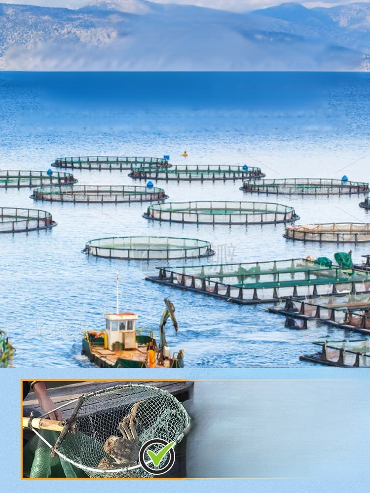 Crispy ready-to-eat small sea crab