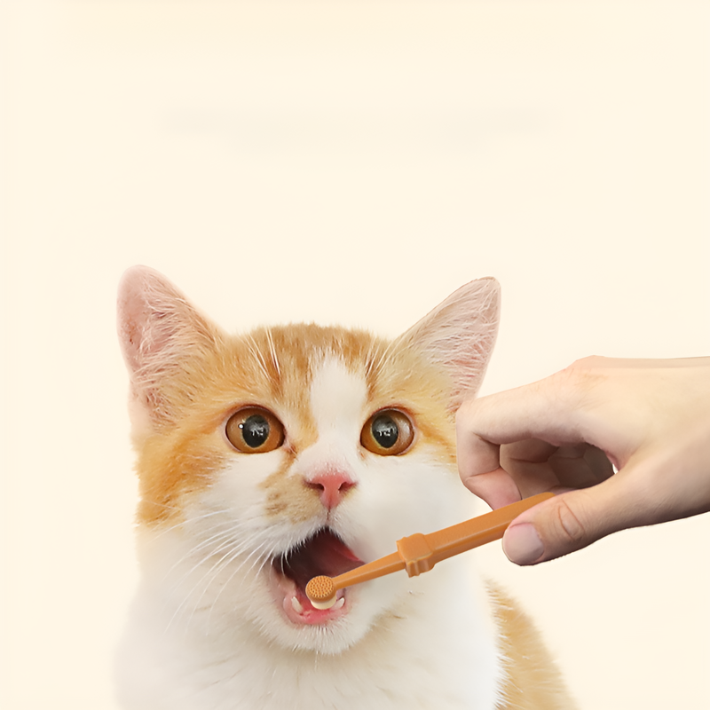 애완동물용 부드러운 실리콘 칫솔