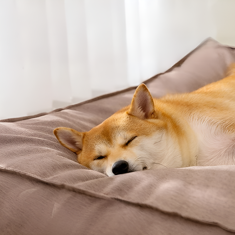 防水・洗える犬用マット