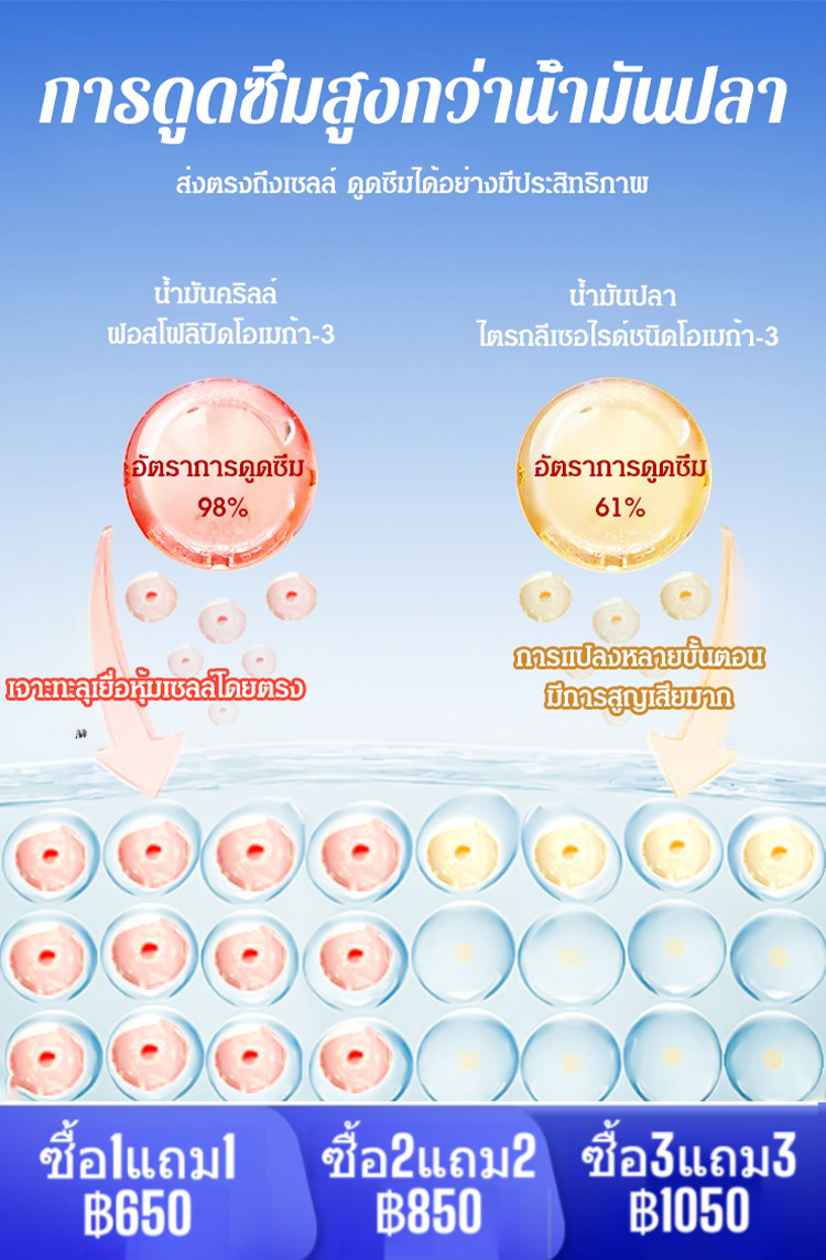 【คืนหลอดเลือดที่แข็งแรงให้คุณใน 15 วัน】แคปซูลน้ำมันคริลล์แอนตาร์กติก