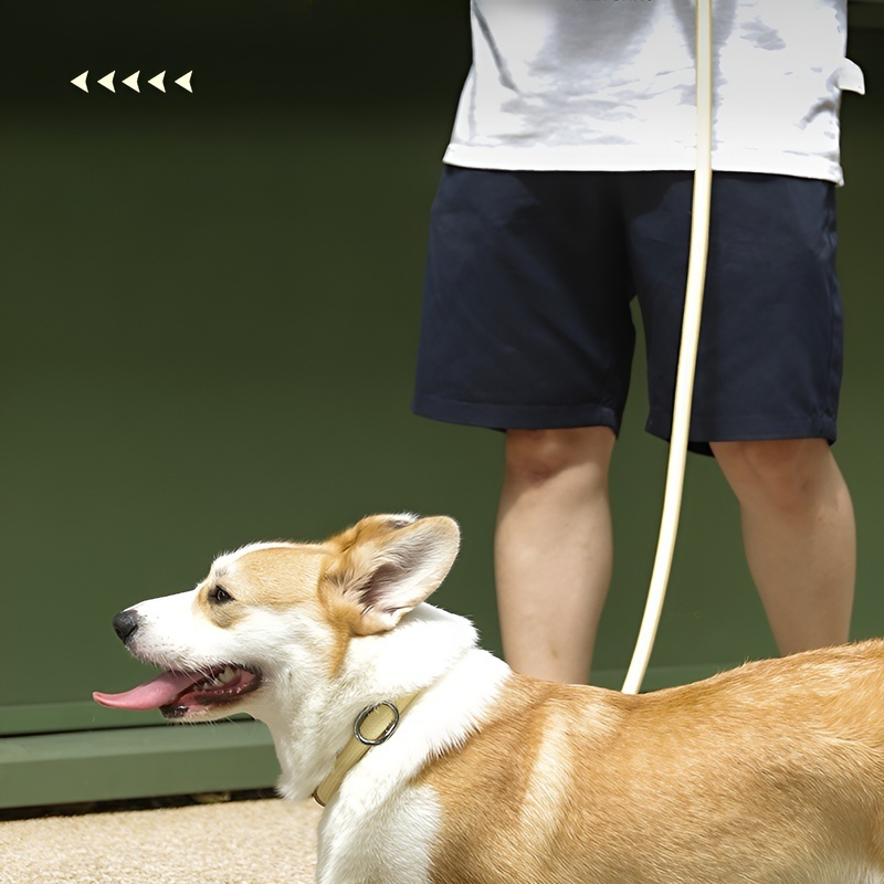 반려동물 방폭 충격 리드줄 야외 내구성 목 보호