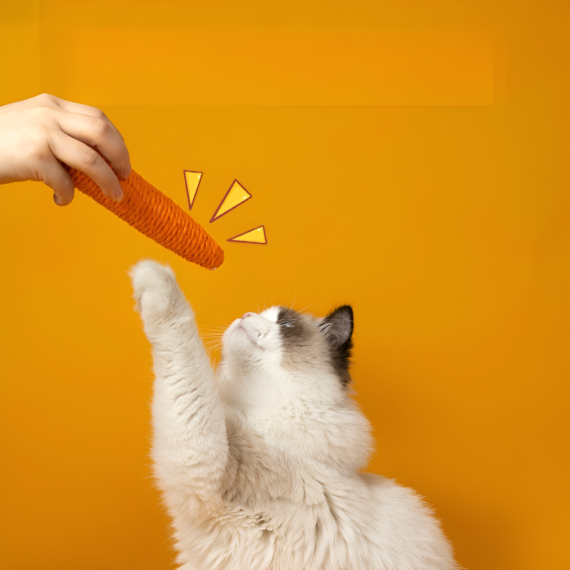 新しい猫のおもちゃかわいいニンジンは声を出して猫の棒を笑わせることができます