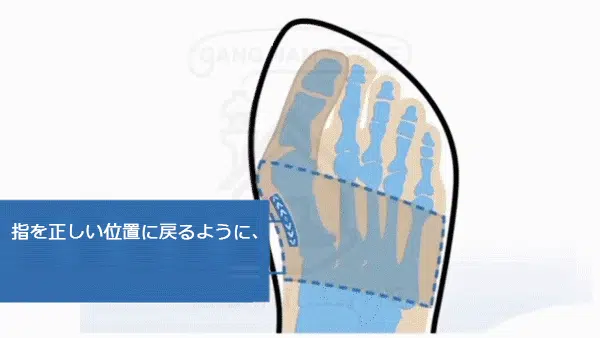 12.webp