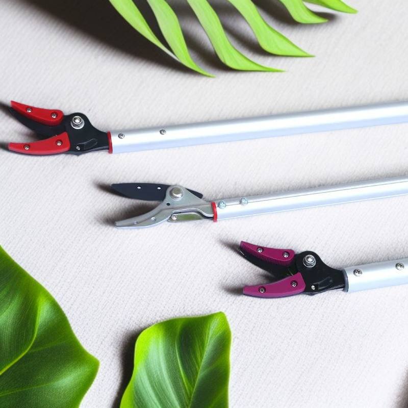 고급 알루미늄 합금 과일 수확 가위 리치 롱안 전용