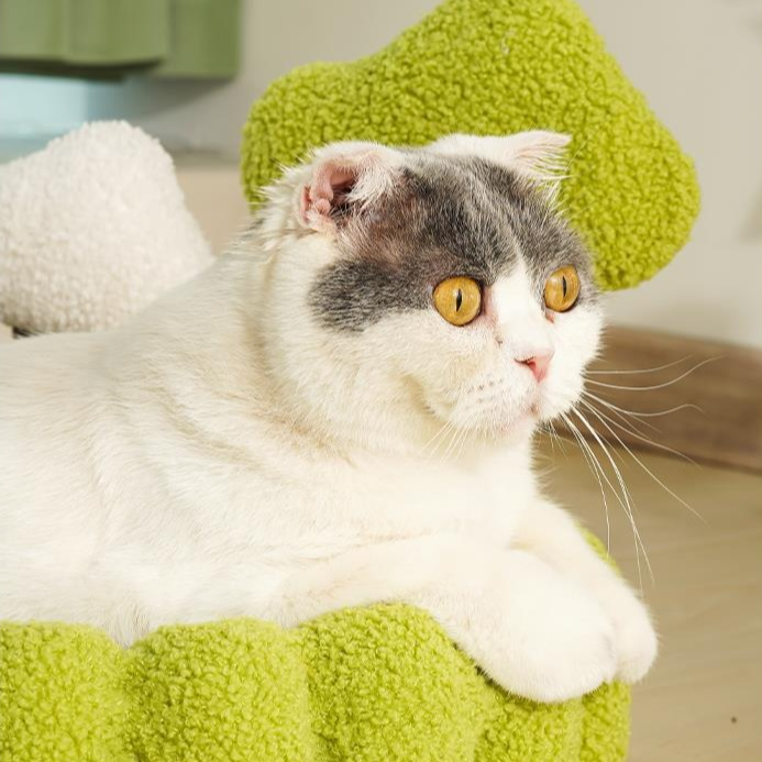 Large cat scratch basin