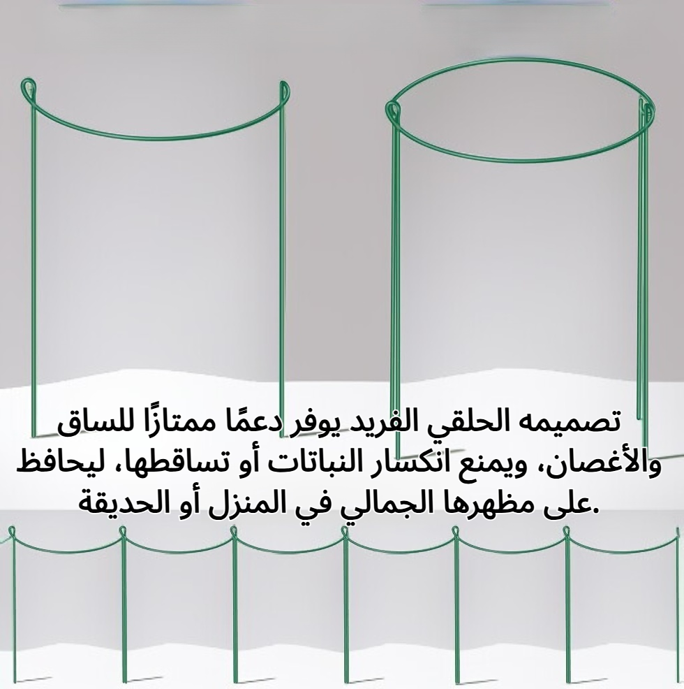 حامل نبات حلقي داعم