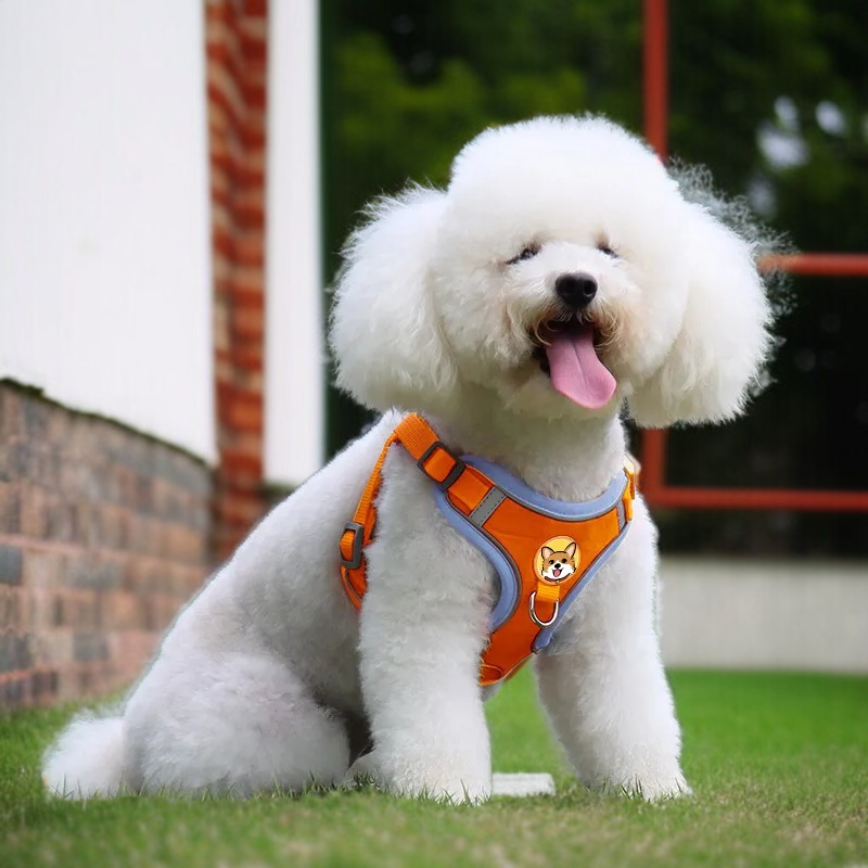 ペット犬小型犬胸ハーネス非ストリンギング通気性離脱防止リード反射犬の鎖