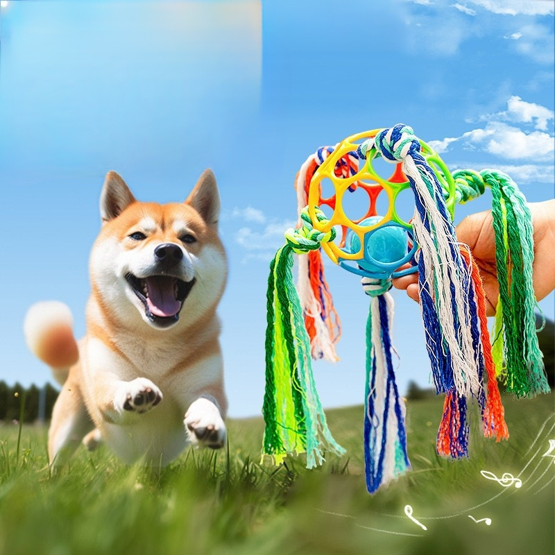 Pet bell gnawing toy ball