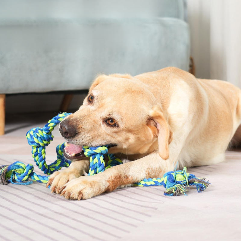 狗狗趣味咬玩具