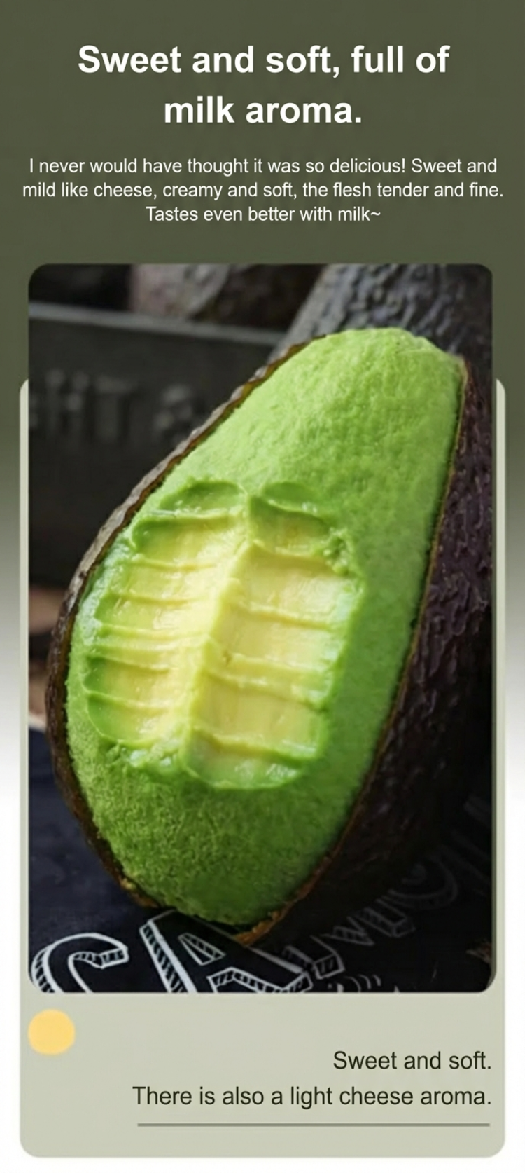 Plik 详情图_10.png