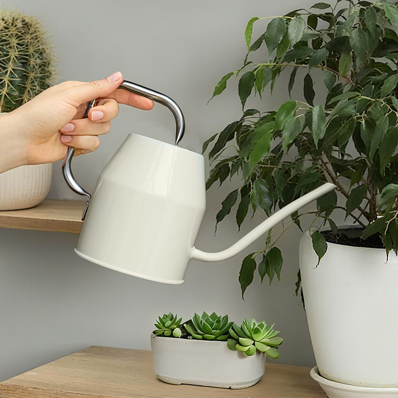Arrosoir à bec fin WOSH, idéal pour les succulentes et les plantes en pot
