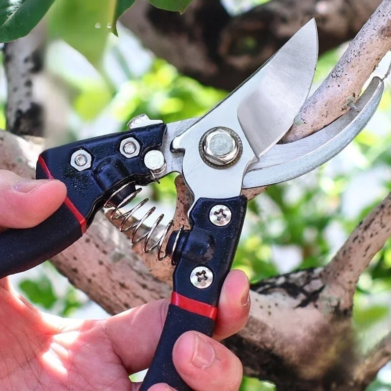 ステンレス製の滑り止め付き剪定鋏