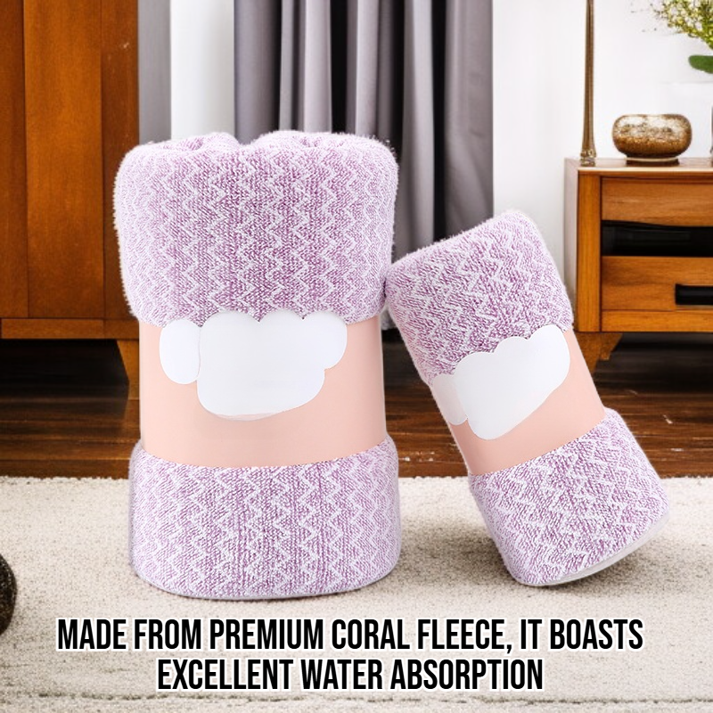 High-Efficiency Absorbent Coral Fleece Towel