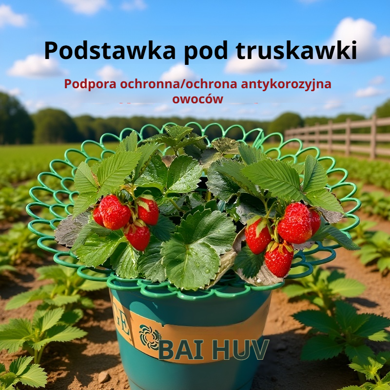 Taca do uprawy truskawek na balkonie