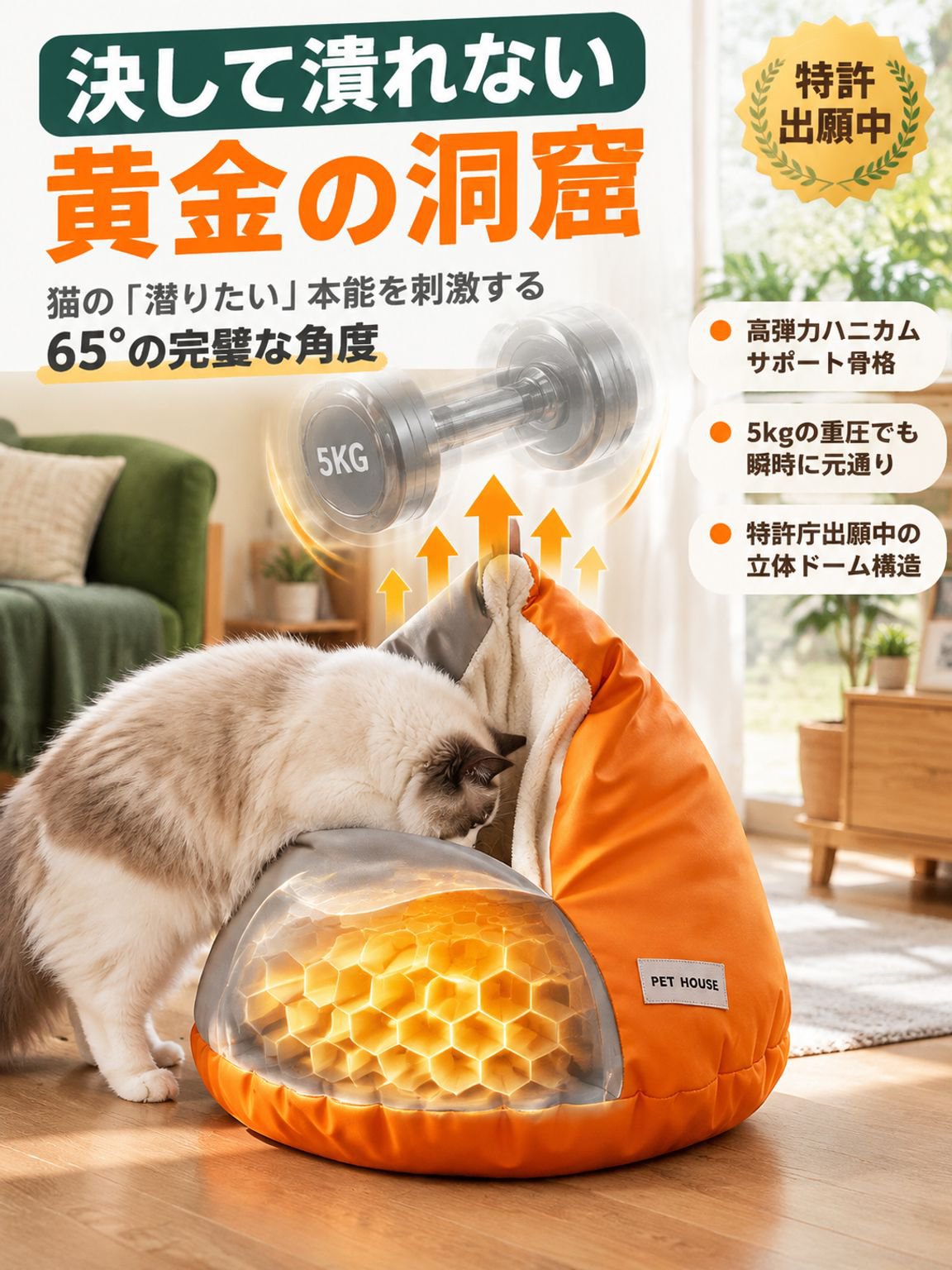 05-详情图5-结构力学.jpg
