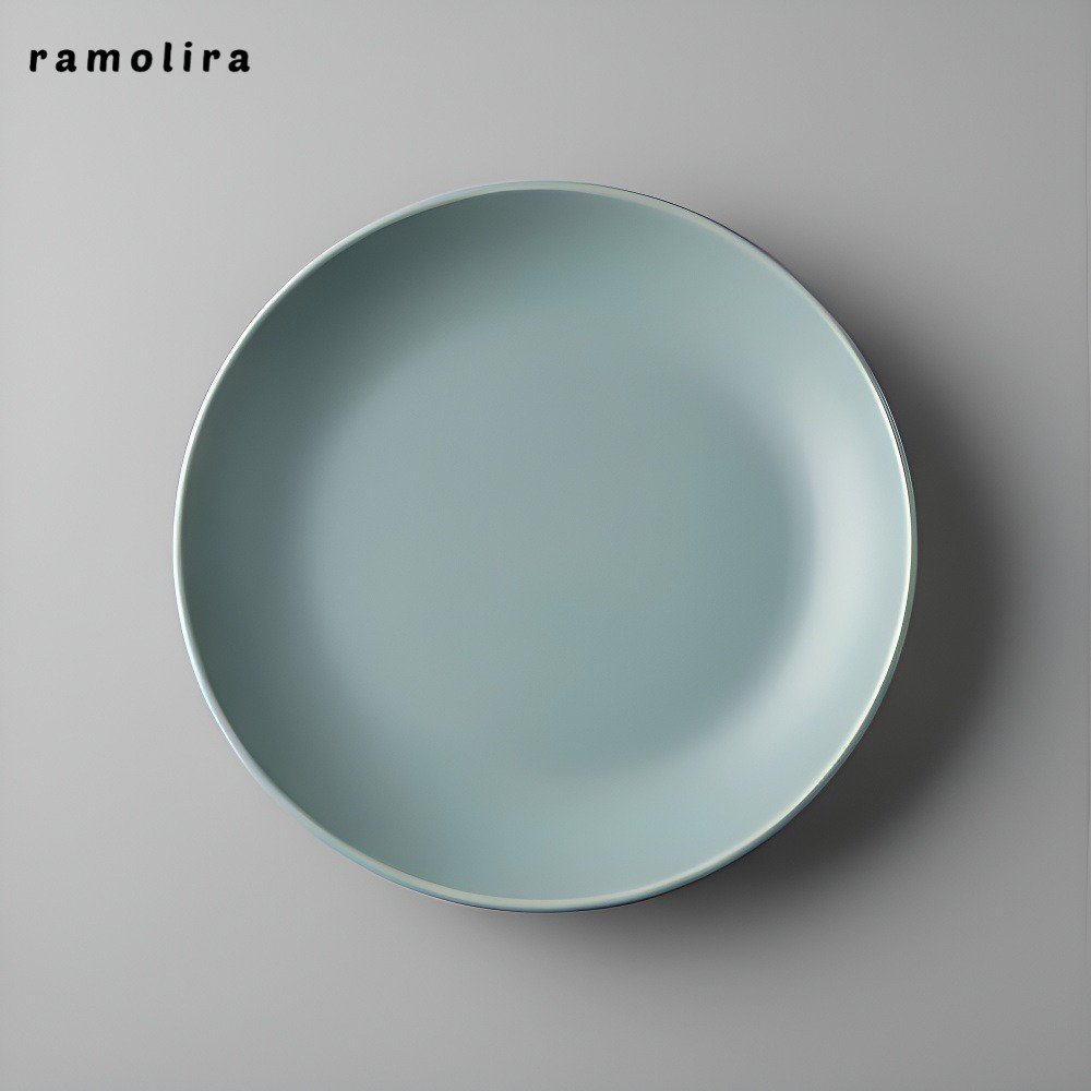 가정용 세라믹 평판 찬 접시 원형 접시 (10개)