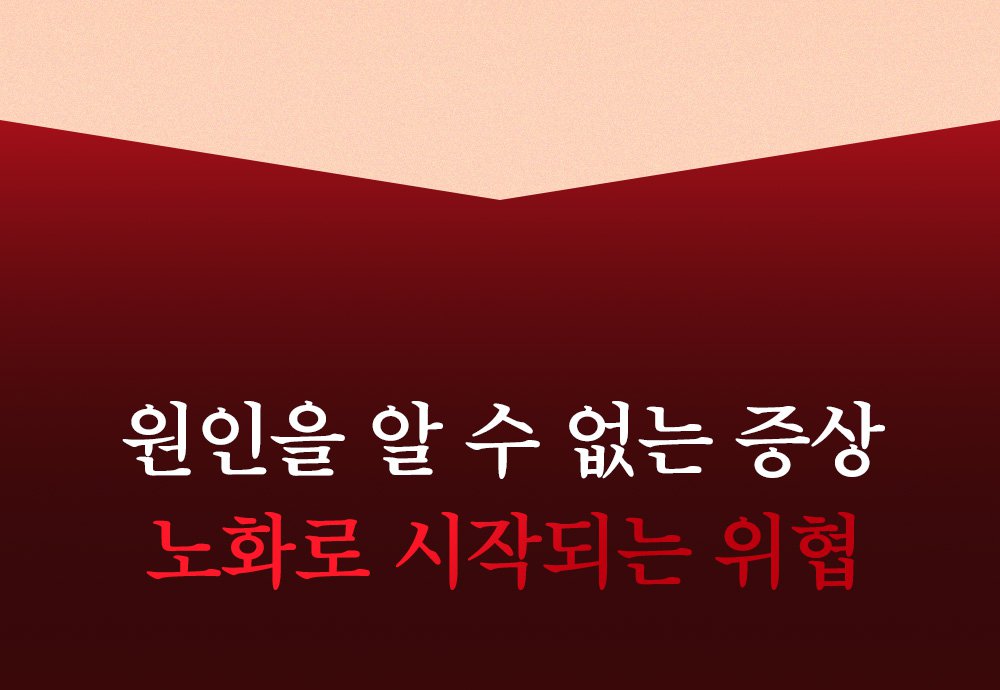 13_tg_om_dog_img (1).jpg