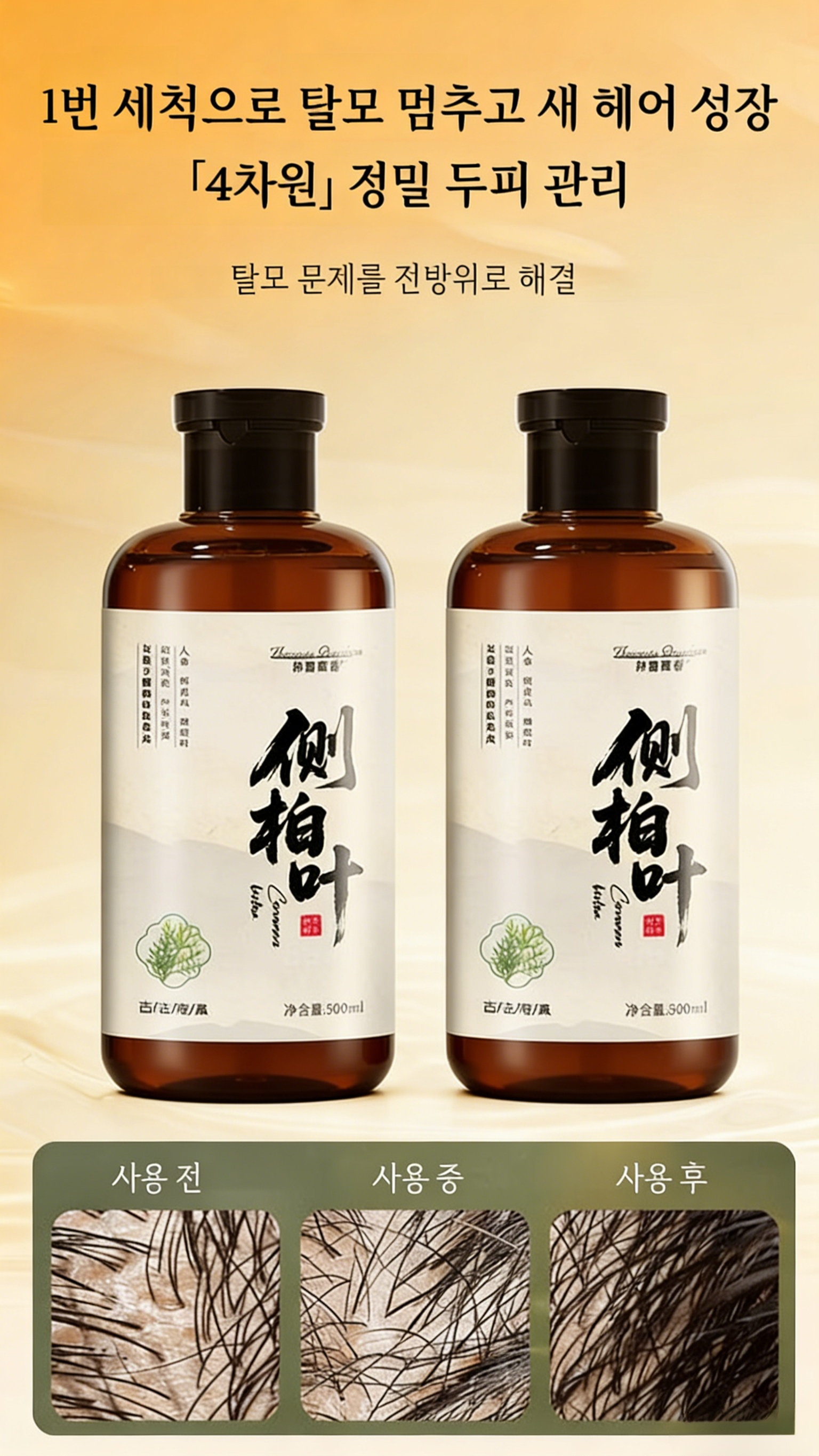 图片 (13).png