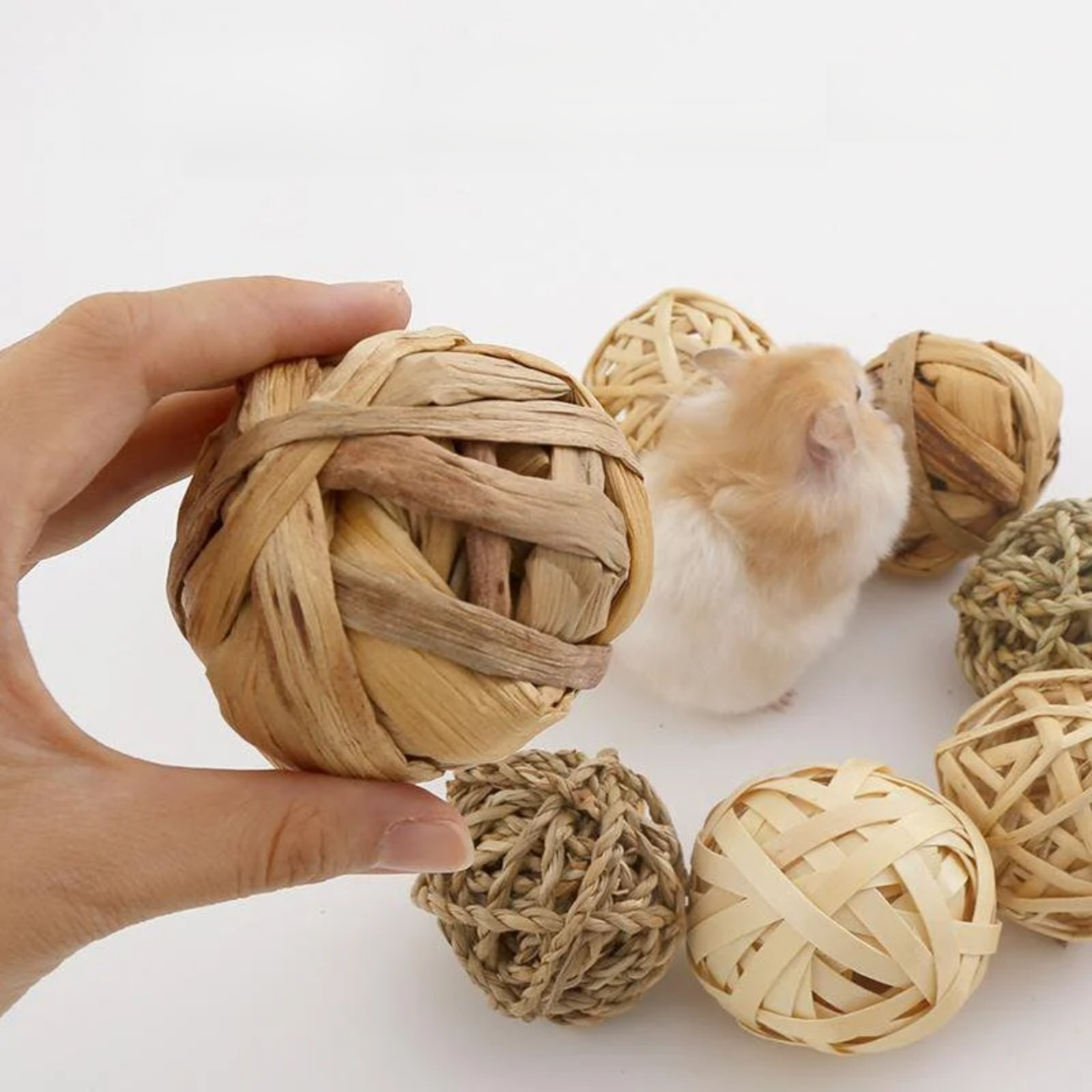 金絲熊專用磨牙藤球玩具