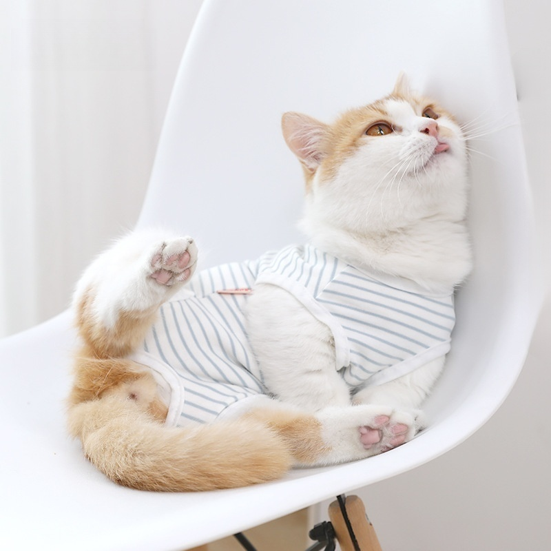 Cat Clothing Four Seasons Thin Edition