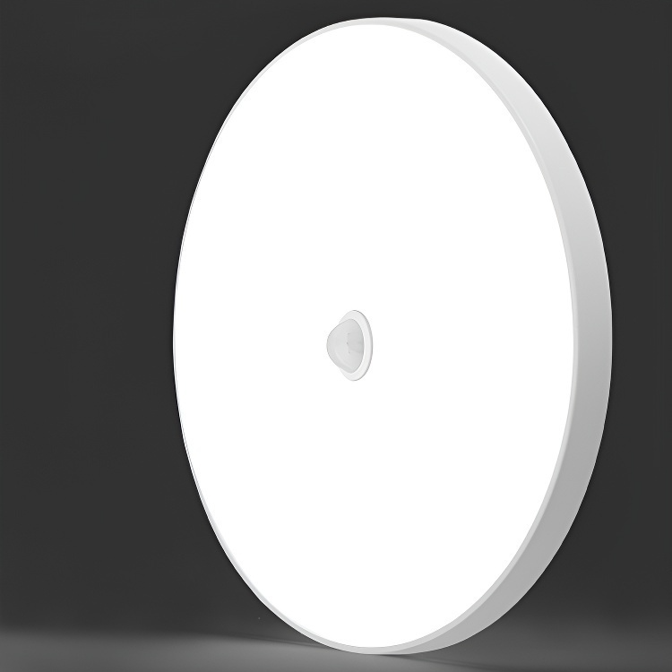 Automatic Corridor Sensor Lighting