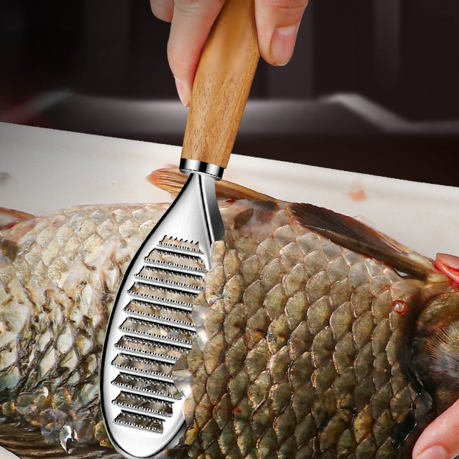 魚の鱗取り、家庭用鱗取りツール