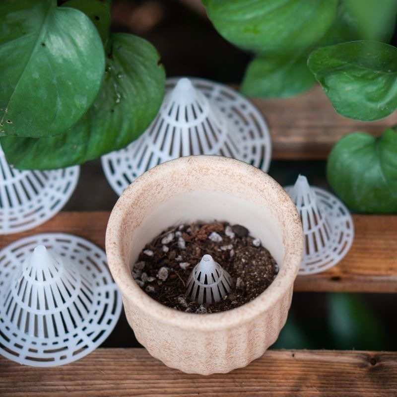 錐形墊片透氣防爛根花盆底孔墊瀝水墊