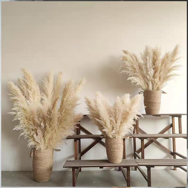 갈대 드라이 플라워 결혼식 창문 장식