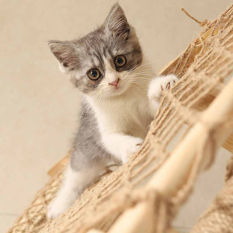 耐久性のあるキャットツリー