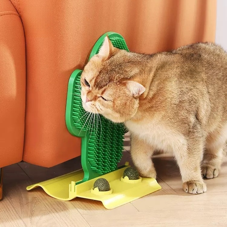 仙人掌貓咪蹭癢器