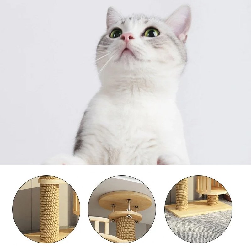 고양이가 나무를 기어오르다.