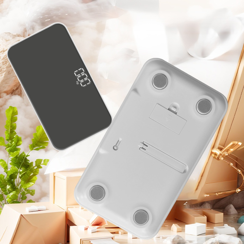 Portable mirror scale