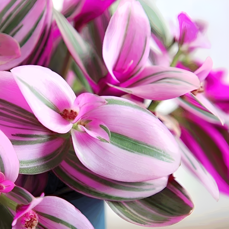 優雅な油絵のシャンデリア室内の花